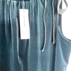 Ann Taylor Deep Teal Velvet top